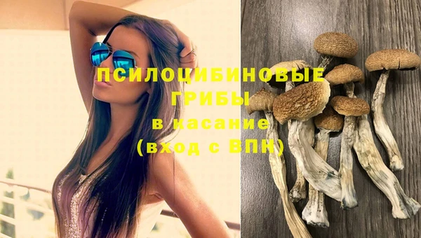 spice Касимов