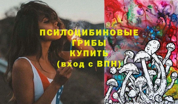 MDMA Premium VHQ Карпинск