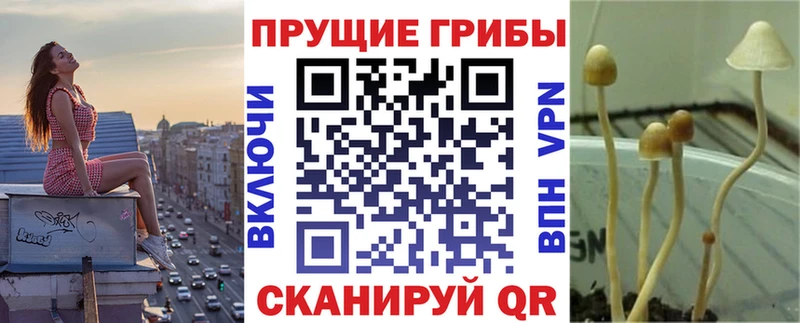 Галлюциногенные грибы Cubensis  Купить закладки  Дмитровск 